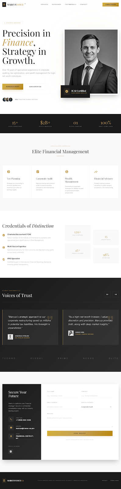 Chartered Accountant Variant 2